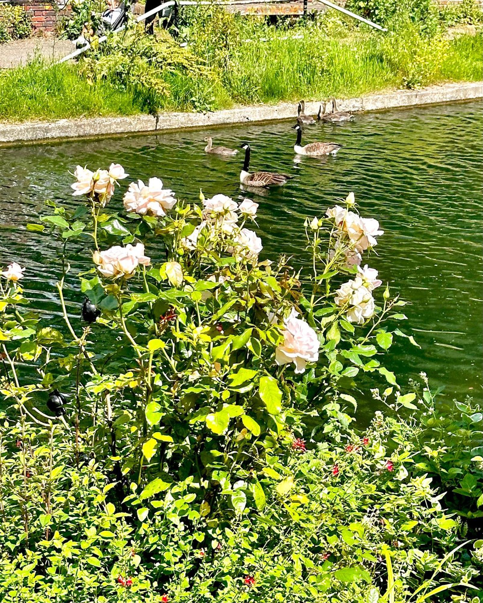 Amazing Location - City Of London- 2 Bedroom Stunning Canal View House With Private Garden,Parking & Balcony Экстерьер фото